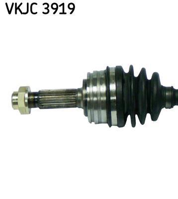 Cardã SKF ref. VKJC 3919